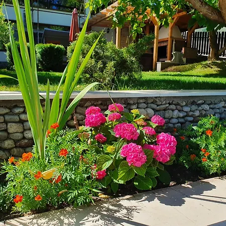 Luxury Family On Neretva - Private Pool - Kuca Mira 别墅