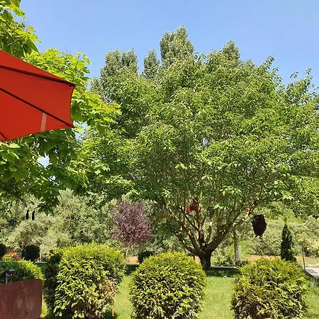 别墅 Luxury Family On Neretva - Private Pool - Kuca Mira *