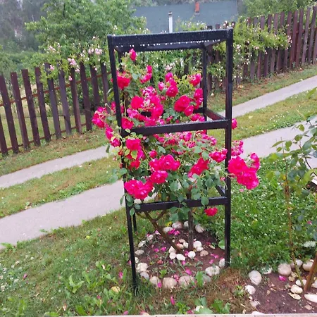 Luxury Family On Neretva - Private Pool - Kuca Mira 别墅 *