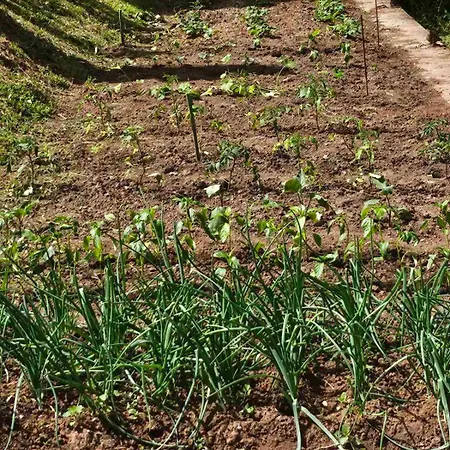 Luxury Family On Neretva - Private Pool - Kuca Mira 科尼茨