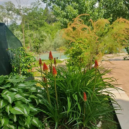 Luxury Family On Neretva - Private Pool - Kuca Mira * 科尼茨